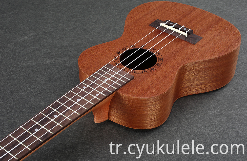 ukulele24